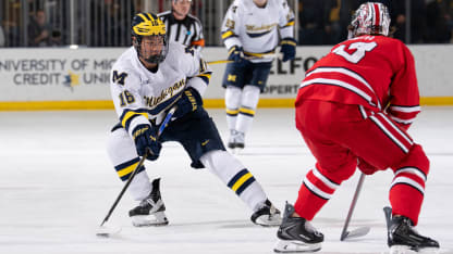 Aidan Park Michigan 2