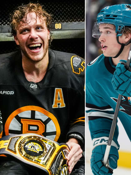 NHL ve světle olympiády díl šestý